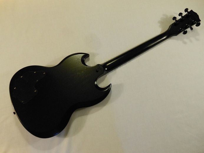 SG Special II EMG Picture 2